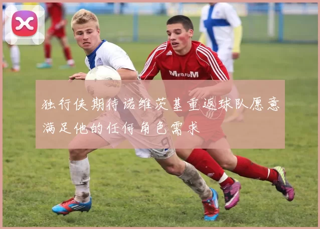 独行侠期待诺维茨基重返球队愿意满足他的任何角色需求