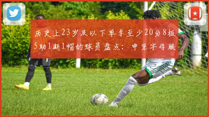 历史上23岁及以下单季至少20分8板5助1断1帽的球员盘点：申京字母狼王等人