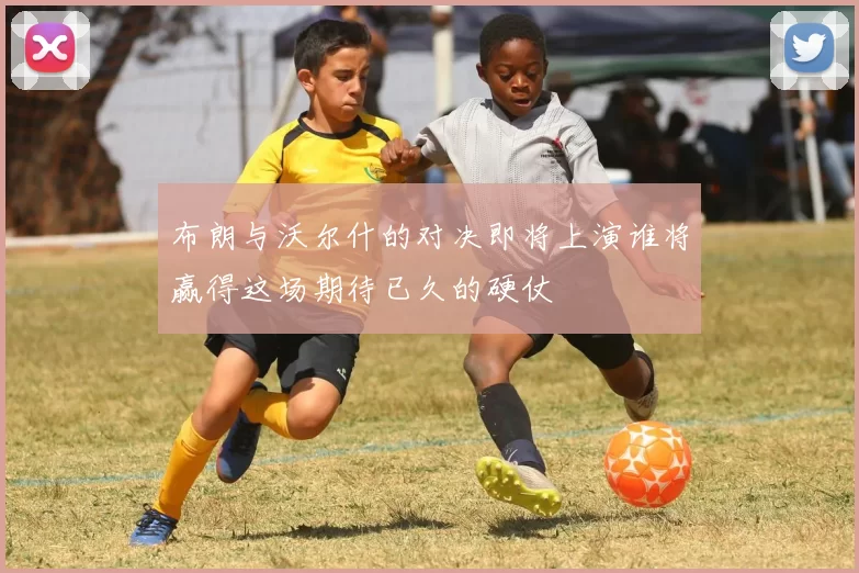 布朗与沃尔什的对决即将上演谁将赢得这场期待已久的硬仗